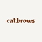 cat.brows