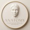 Anatomy Scandinavian Medical Aesthetics