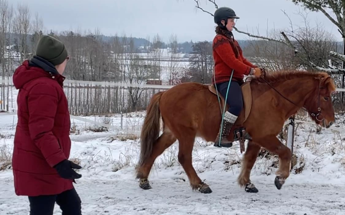 Equus Ad Astra, Hallstavik - Bokadirekt