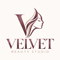 Velvet Beauty Studio