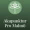 Akupunktur Pro Malmö