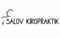 Salovkiropraktik AB