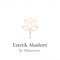 Estetik Akademi