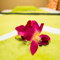 Lanna Relax Massage