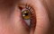 Lash & brows by Z